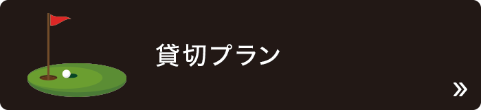 ݐ؃v